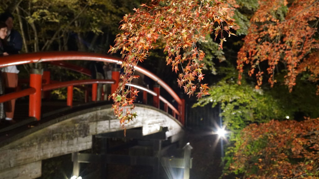 紅葉