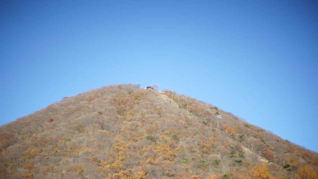 紅葉