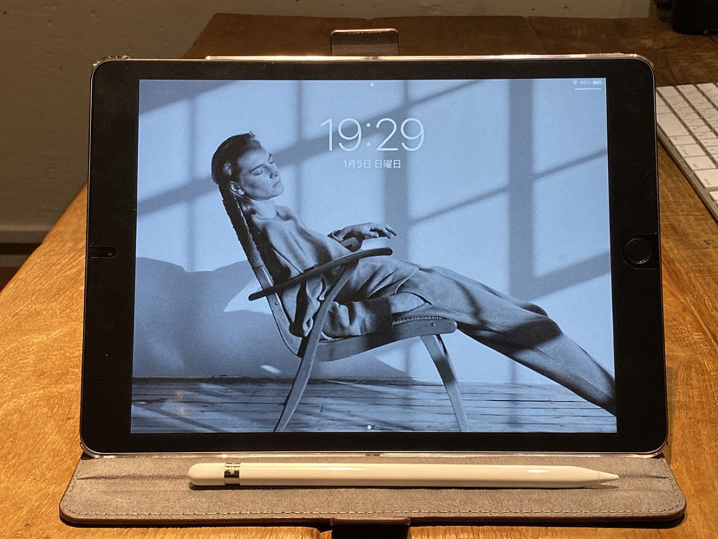 ipadソフトケース画像