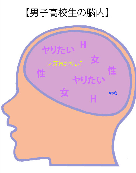 男子高校生の頭の中