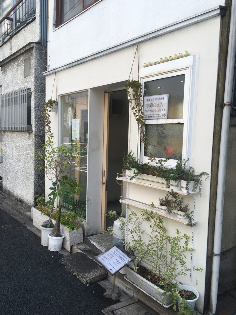 味方の外観