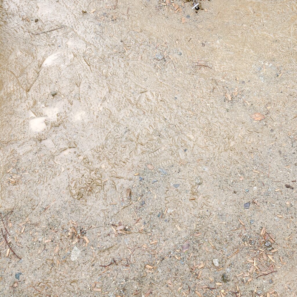 雨の地面